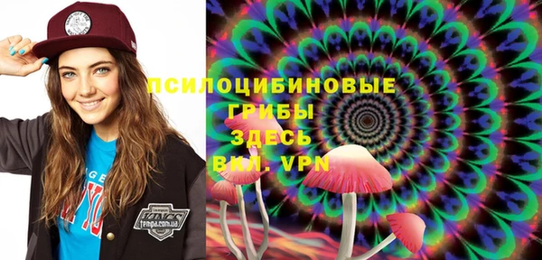 гидра Вязьма