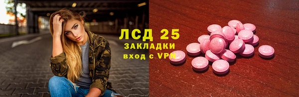 гидра Вязьма