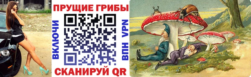 Псилоцибиновые грибы Psilocybine cubensis  Купить где  Новосиль 